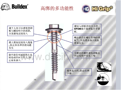 标的自攻钉.png
